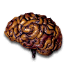Diablo 2 Brain