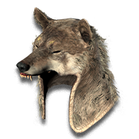 Diablo 2 Wolf Head